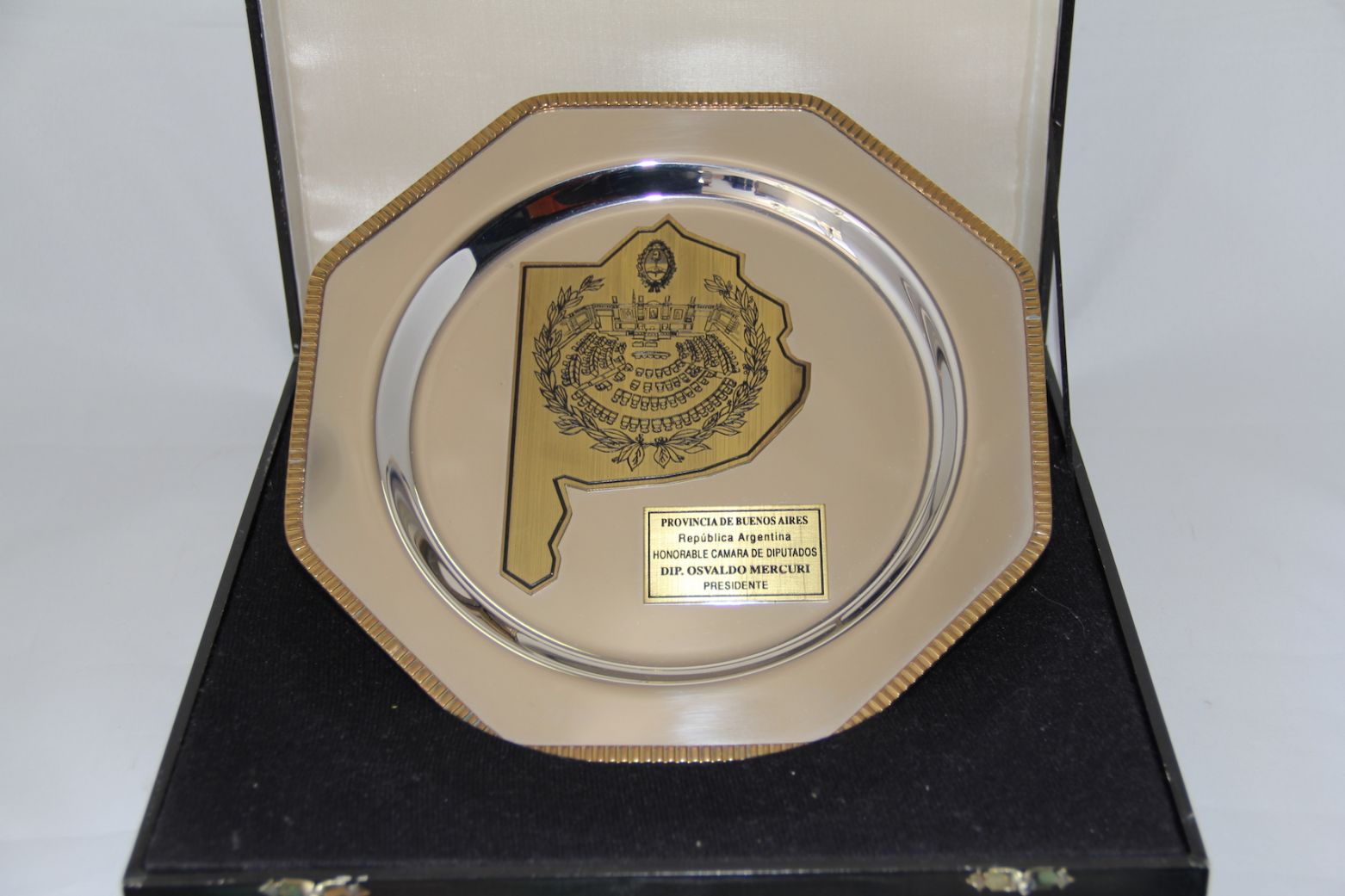5bae3c16a4959-homenagem-da-camara-dos-deputados-da-argentina.jpg